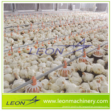 Maßgeschneidertes Schalenfütterungssystem der Leon-Serie für Geflügel und Vieh